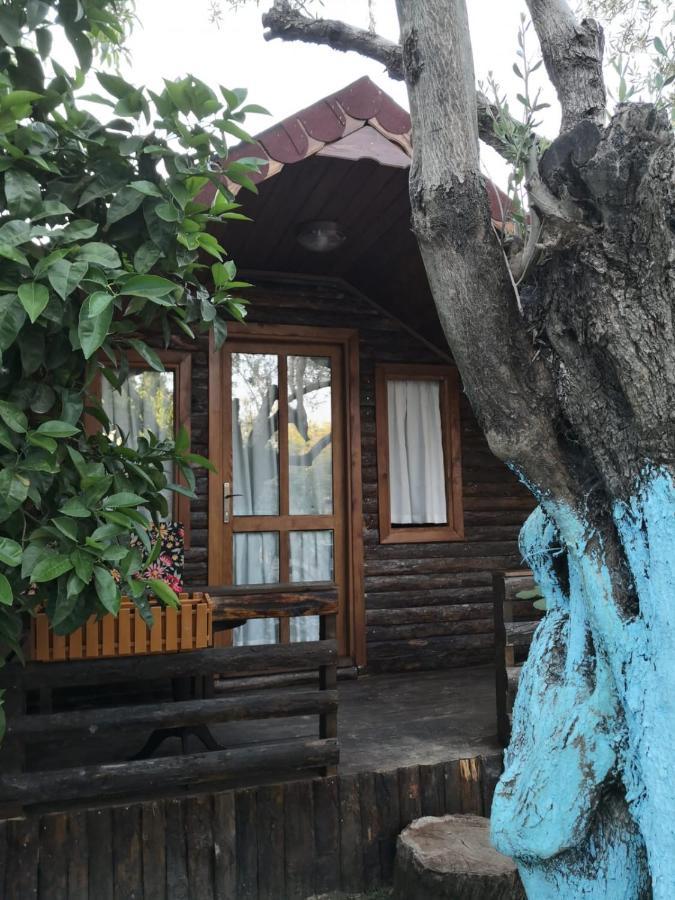 Zeytindagi Bungalow Mehmetalani Luaran gambar