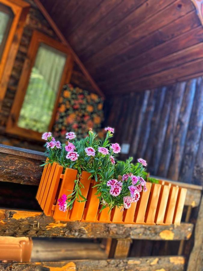 Zeytindagi Bungalow Mehmetalani Luaran gambar