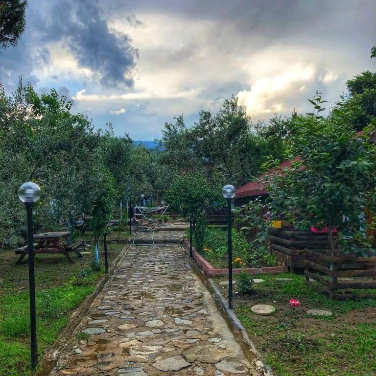 Zeytindagi Bungalow Mehmetalani Luaran gambar