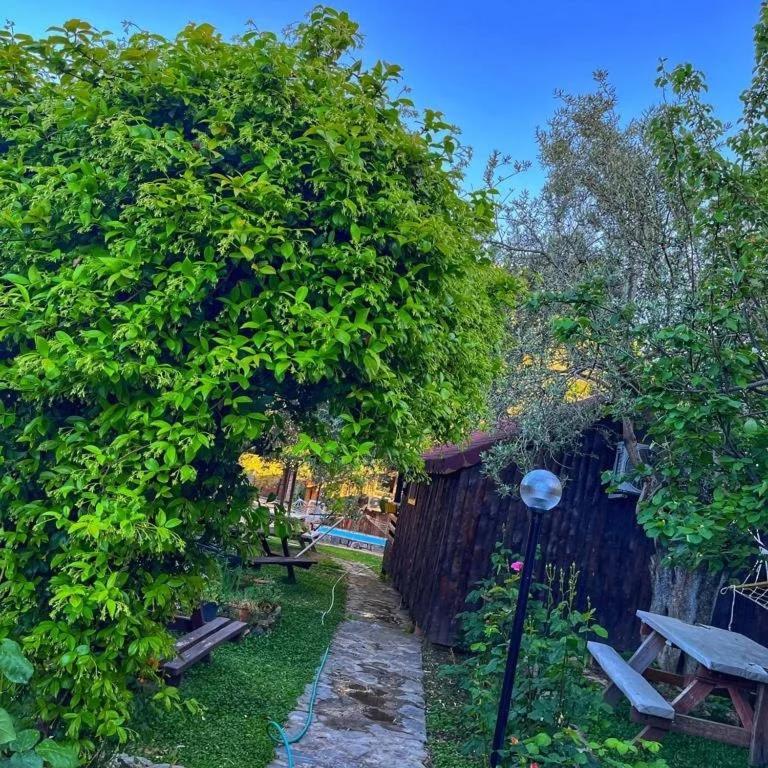 Zeytindagi Bungalow Mehmetalani Luaran gambar