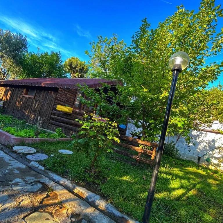 Zeytindagi Bungalow Mehmetalani Luaran gambar