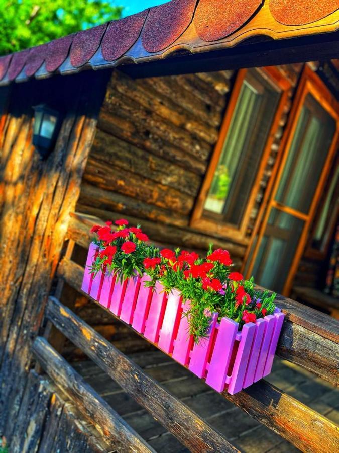 Zeytindagi Bungalow Mehmetalani Luaran gambar