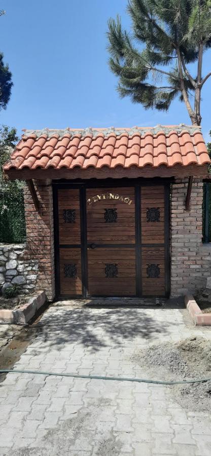 Zeytindagi Bungalow Mehmetalani Luaran gambar